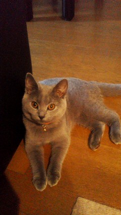 20130909144403.jpg