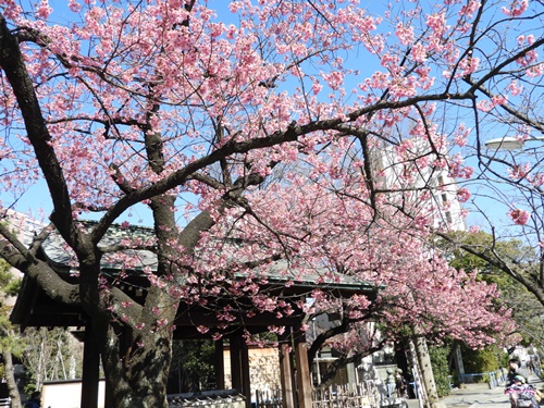 荏原神社にて