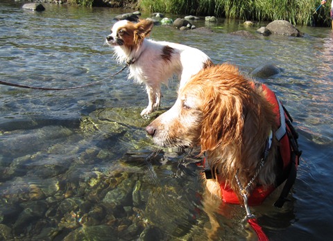 2012-0826-12.jpg