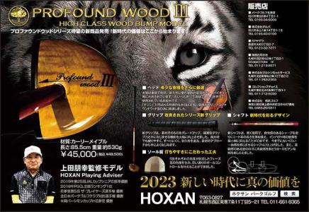 スタニングルアー HOXAN プロファウンド ウッド Profound wood パーク