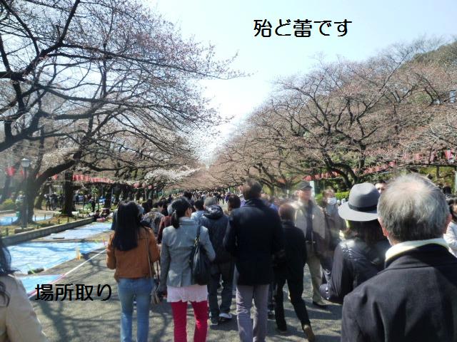 場所取り.jpg