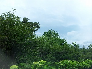 2013-07-06 11.34.12ss.jpg