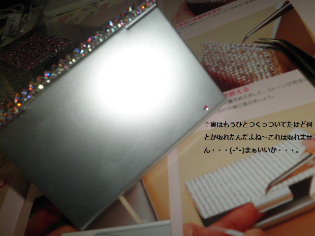 P4250023.JPG