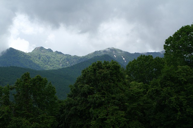 IMG_0317.jpg