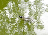 IMG_1352.JPG