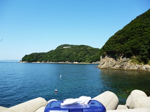 本島 (2)