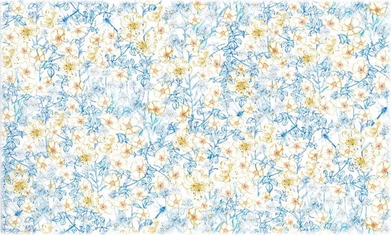 5968_2_expand.jpg