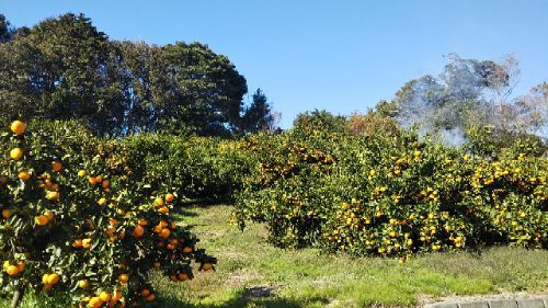rblog-20181118162618-01.jpg