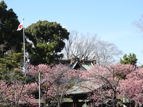 荏原神社にて