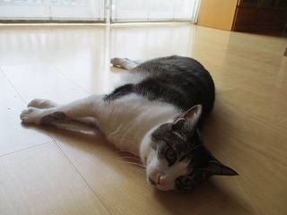 IMG_9960ss.jpg