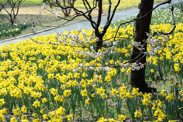 2013.3.22 007.JPG
