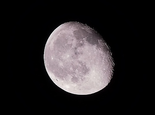 P4190027 (500x373).jpg