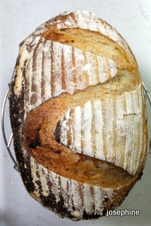 DSCF6038.JPG