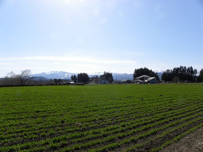 DSCN8166.jpg