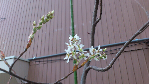 rblog-20130401231712-01.png