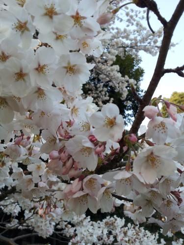 20120408_170257.jpg