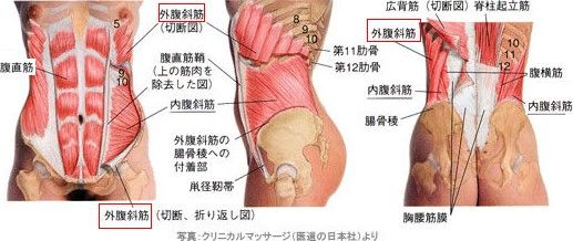 17ページ目の 健康 Walk In The Spirit 楽天ブログ