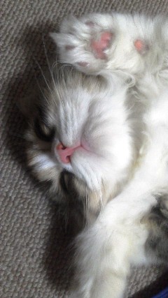 20130725180249.jpg