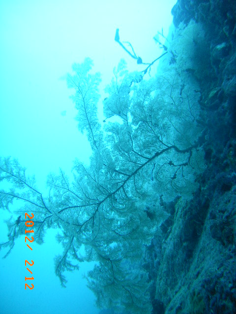 IMAG0044.JPG