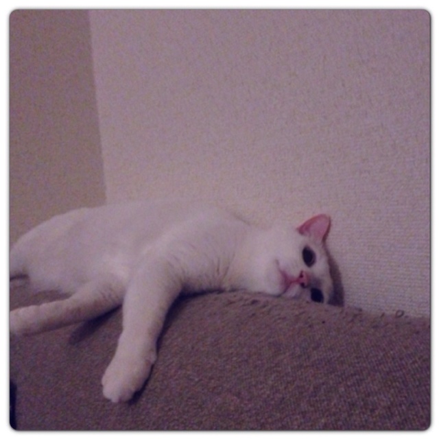 rblog-20130602030850-00.jpg