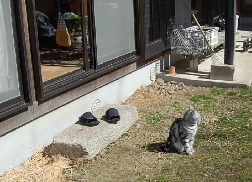 DSC_0034.JPG