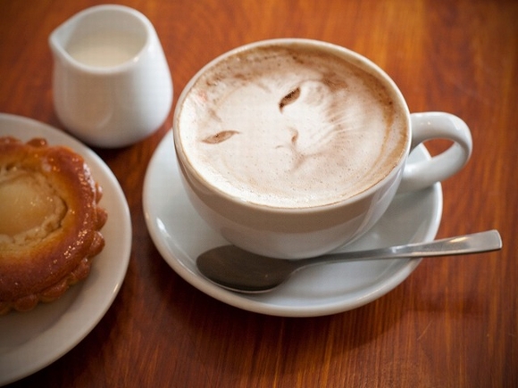 画像はイメージです