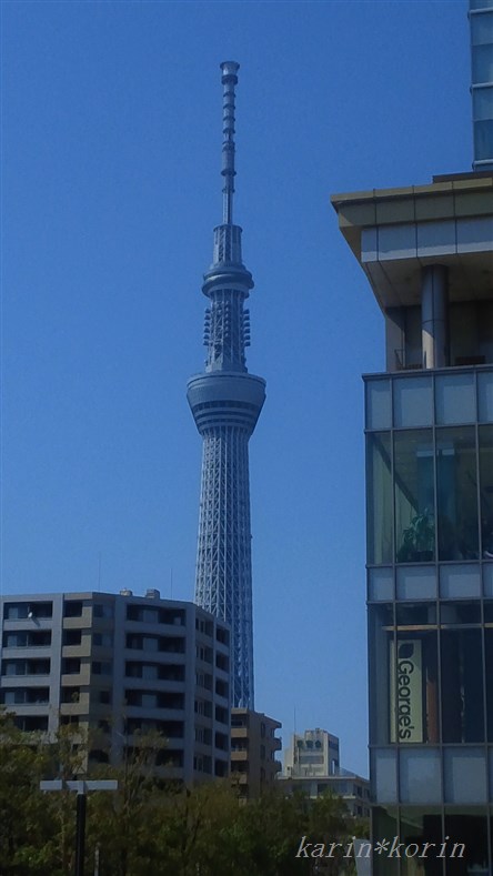 014.jpg
