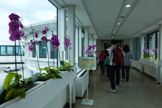 P1060800.JPG