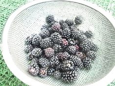 今が旬、ベリー (3)