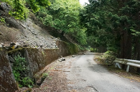 DSC07311.JPG