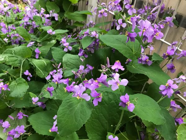 rblog-20190419194050-05.jpg