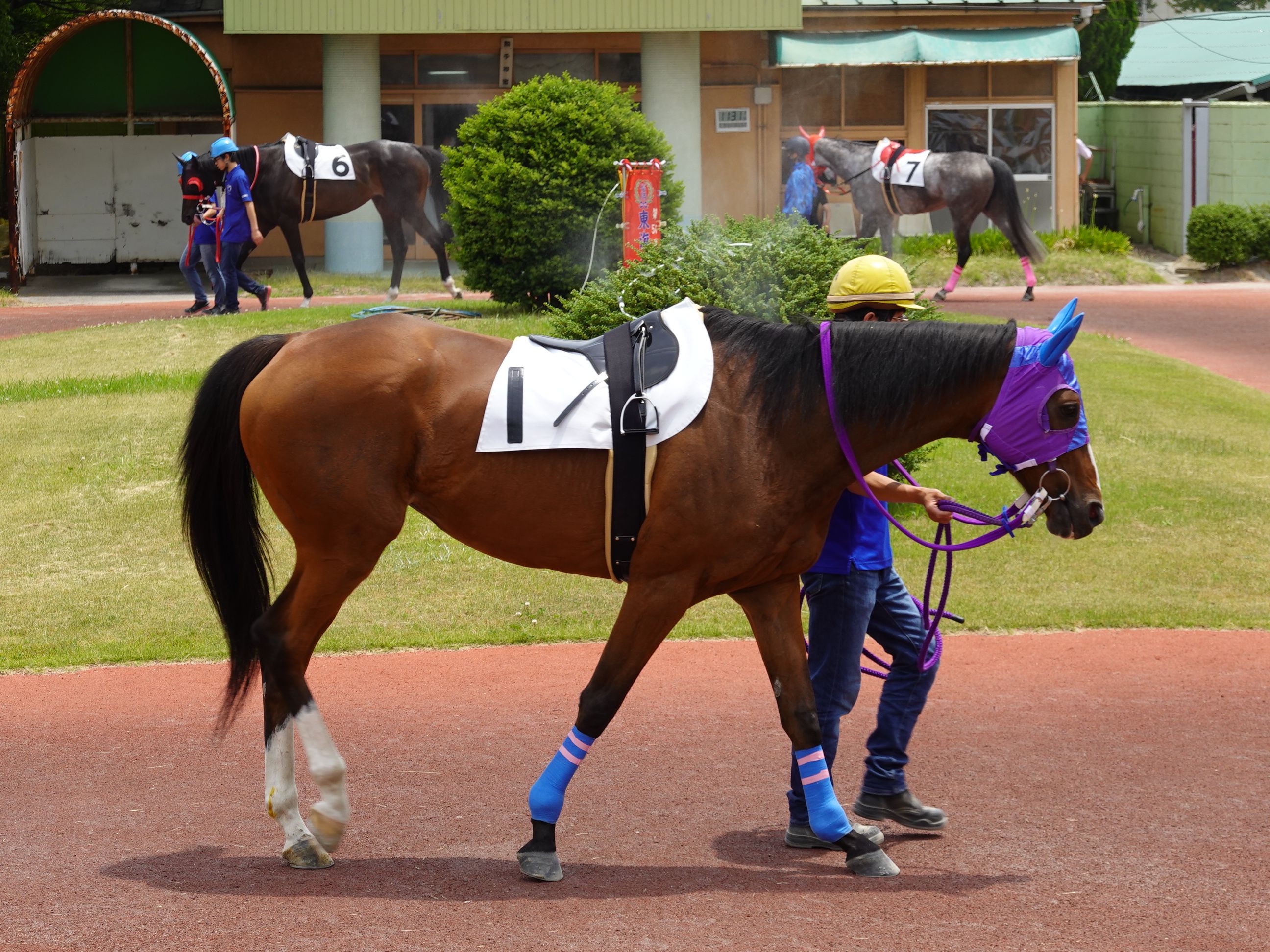 28ページ目の記事一覧 地方競馬の楽天競馬 日替わりライターブログ 楽天ブログ