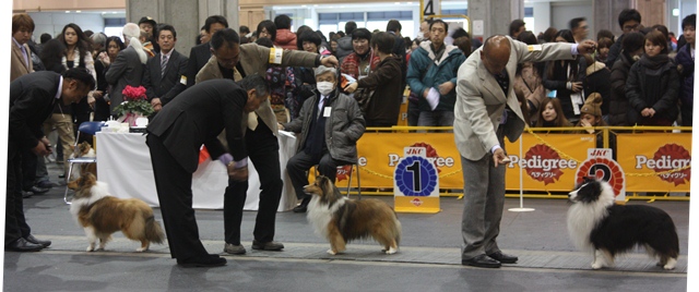 2012-12-2　FCI大阪インターSS.JPG