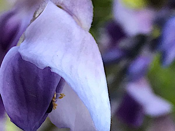 rblog-20170430221154-01.jpg