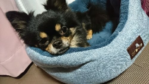 rblog-20171112141003-03.jpg