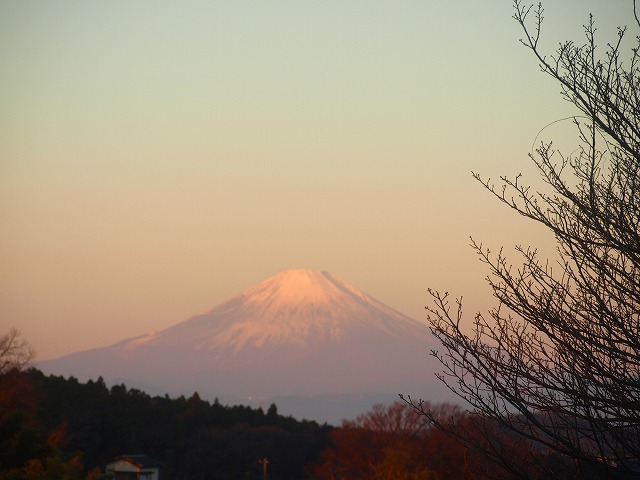 H28.1-fujiasa.jpg