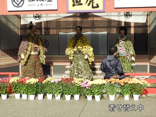 湯島天神菊まつり