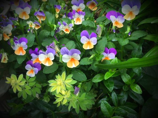 rblog-20160530191535-03.jpg