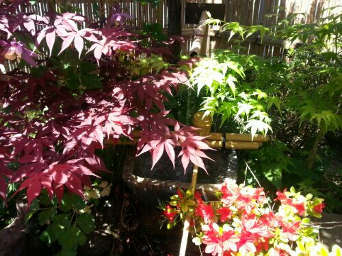 rblog-20160508233426-04.jpg