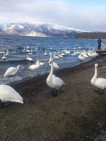 屈斜路湖（その２）