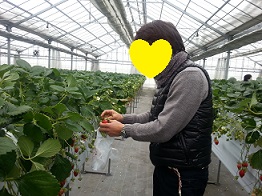 いちごとパパ