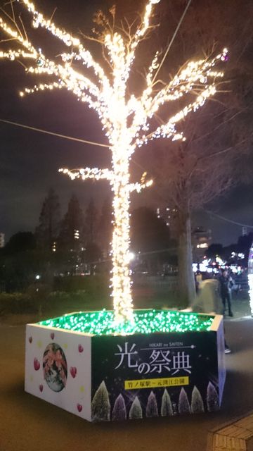 2015-12-20 18.25.48.jpg