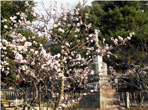 seiryoji-23