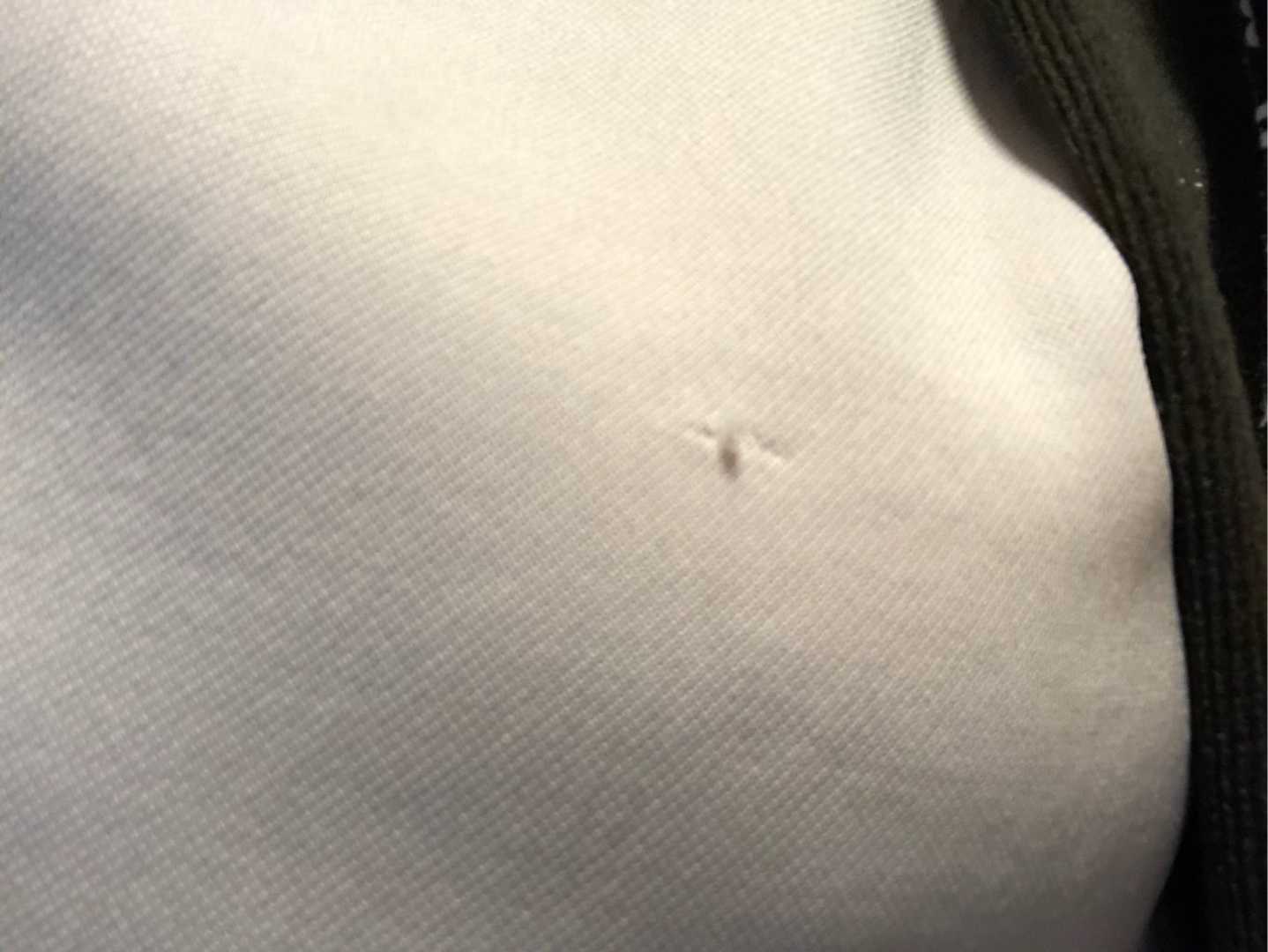 乳首 針 ほつれ補修針 | haruruの部屋 - 楽天ブログ