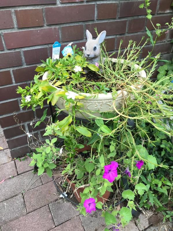 rblog-20180928161205-03.jpg