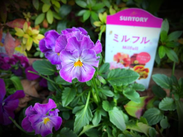 rblog-20161231163703-03.jpg