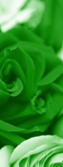 green-valentines-day（変換後）.jpg