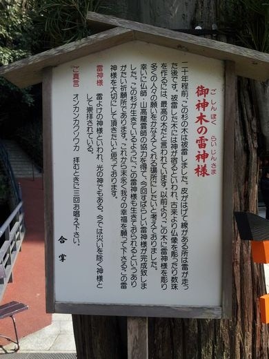 20130112_120817  ご神木