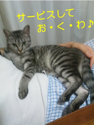 20120908_2.jpg