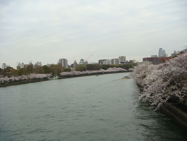 DSC00870.JPG<br />
